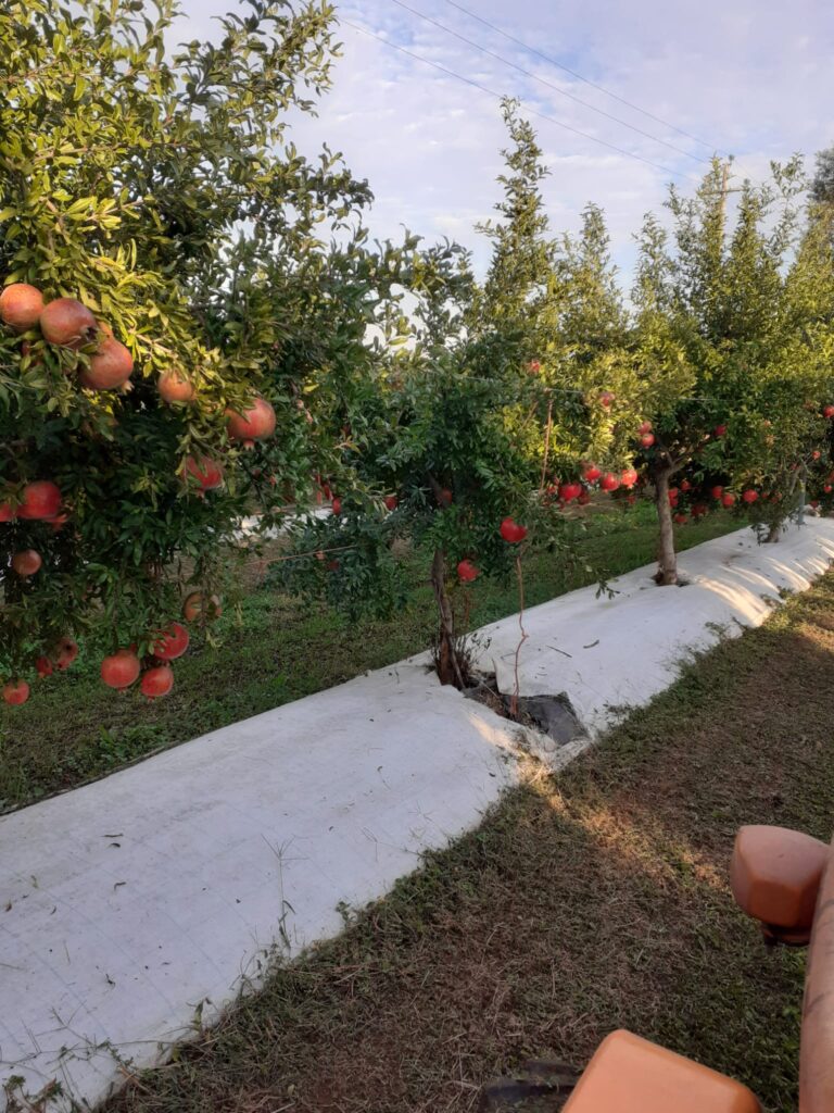 photo 2026 05 12 22 30 00