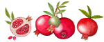 logo-leaf-new melograni
